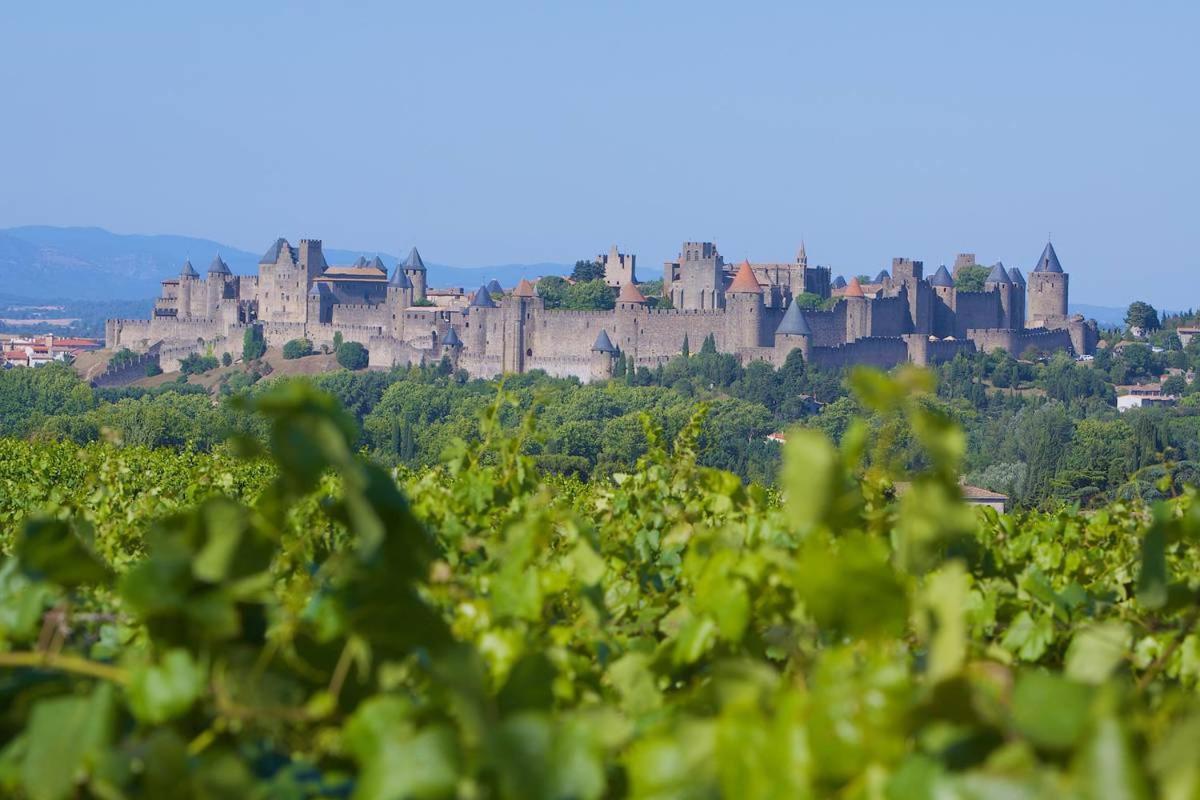 Tout Confort ! Climatisation, Calme, Piscine, Parking Gratuit, Terrasse, Wifi Apartment Carcassonne Exterior foto