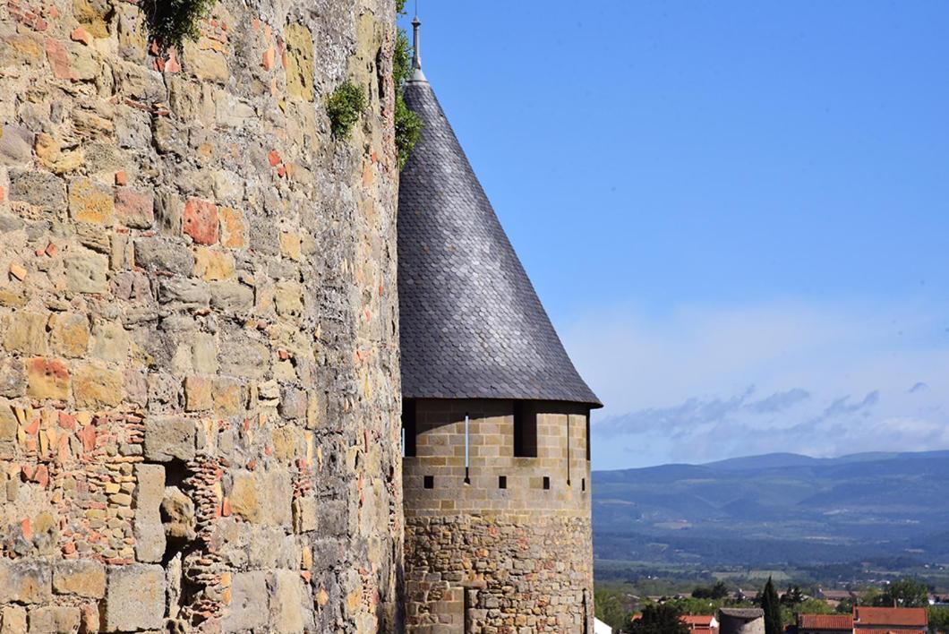 Tout Confort ! Climatisation, Calme, Piscine, Parking Gratuit, Terrasse, Wifi Apartment Carcassonne Exterior foto